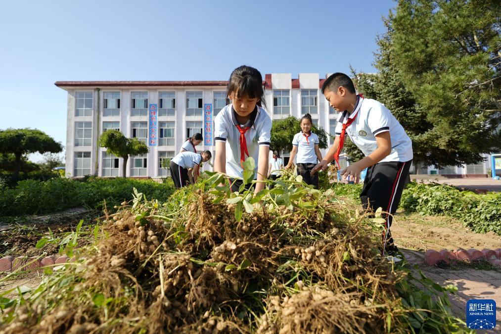 云顶集团网址登陆